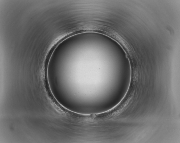 X0000112900787200908211515