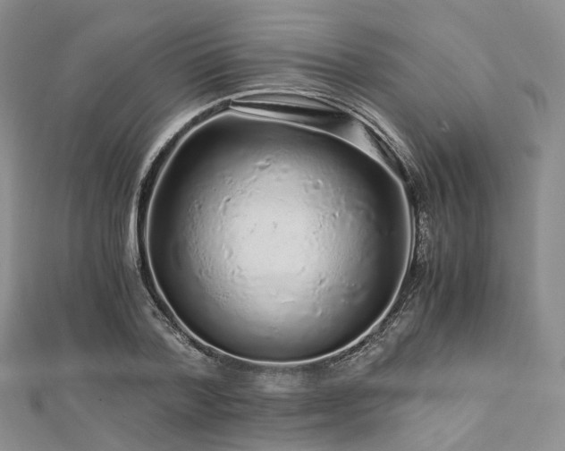 X0000112900788200908211515