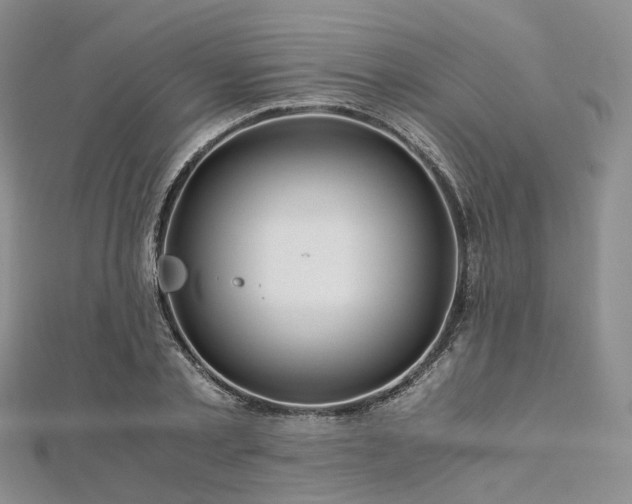X0000112900789200908211515