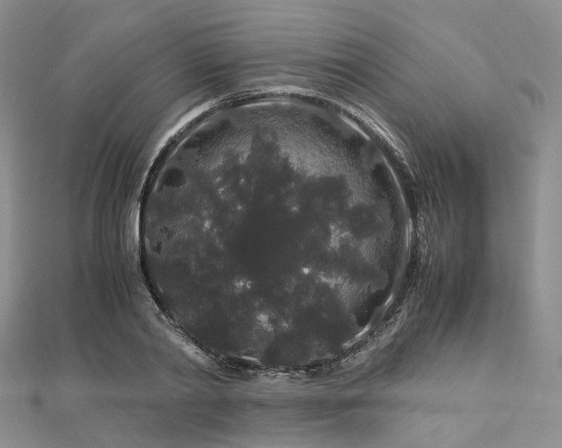 X0000112900790200908211515