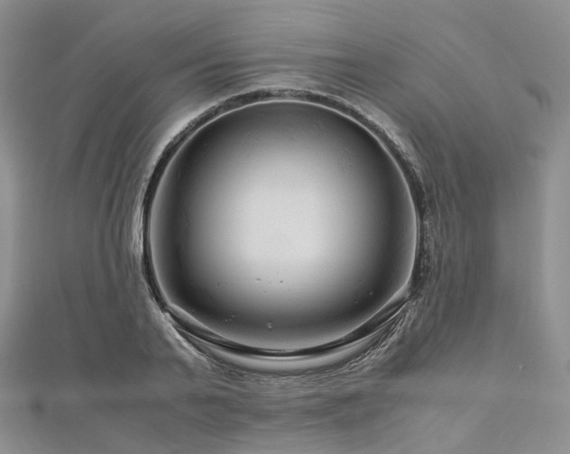 X0000112900791200908211515