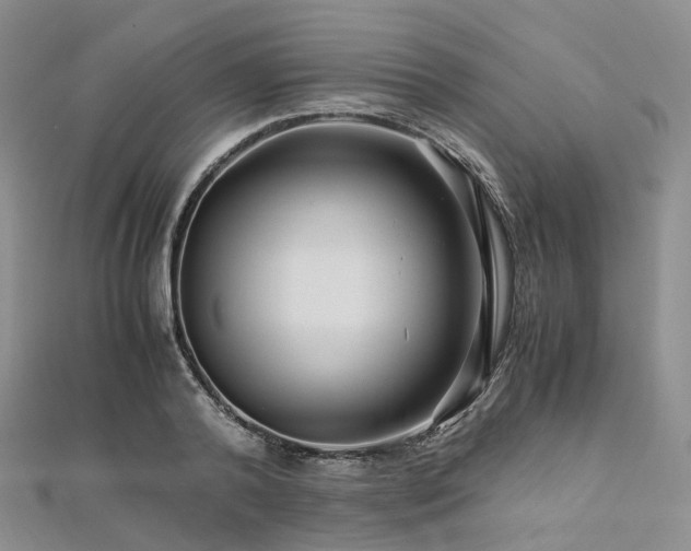X0000112900792200908211515