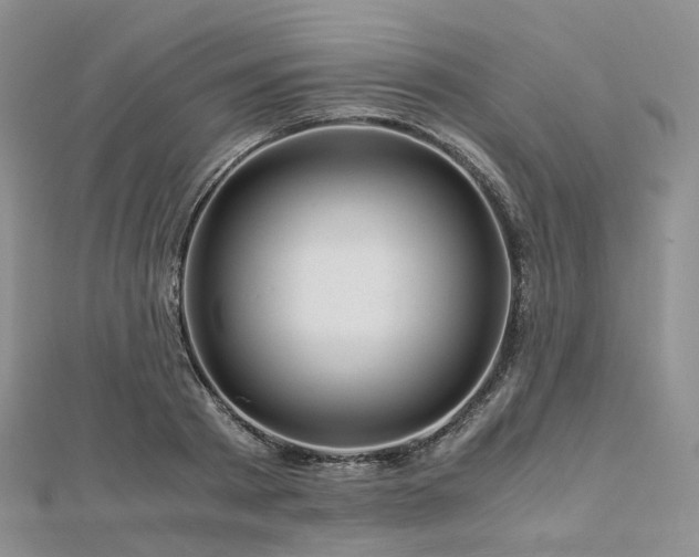 X0000112900793200908211515