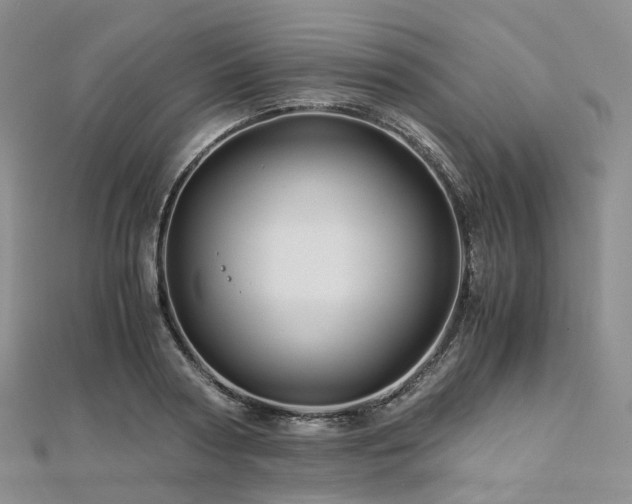 X0000112900794200908211515