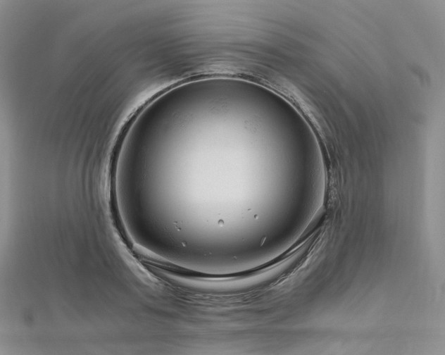X0000112900795200908211515