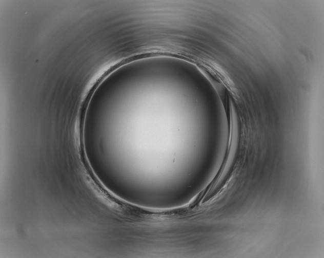 X0000112900796200908211515