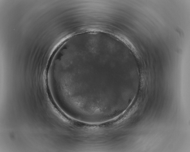 X0000112900798200908211515