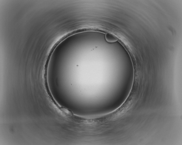 X0000112900799200908211515