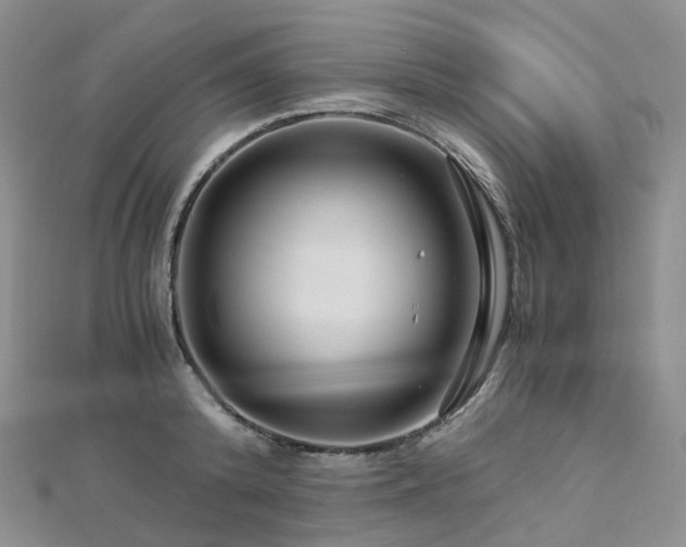 X0000112900800200908211515