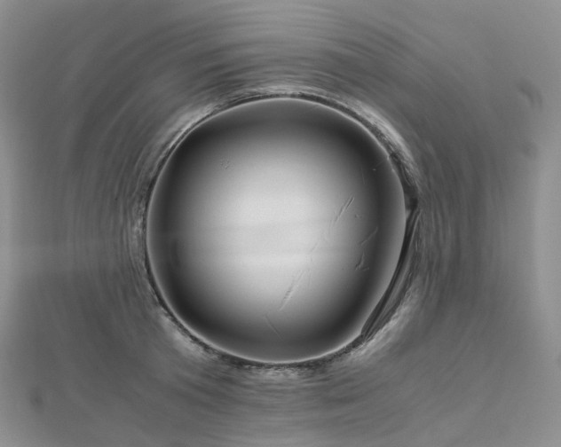 X0000112900801200908211515
