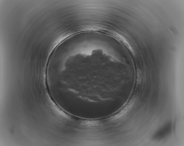 X0000112900802200908211515
