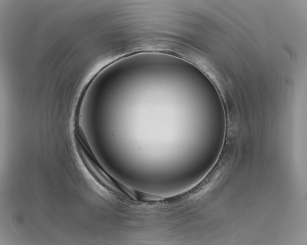 X0000112900803200908211515