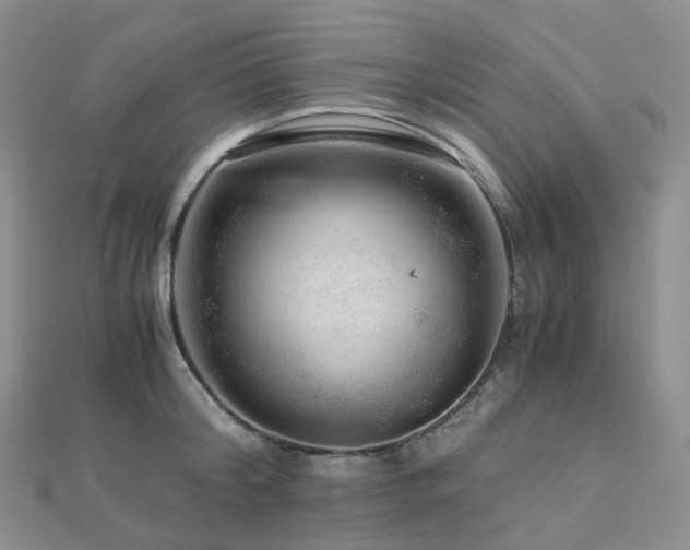 X0000112900804200908211515