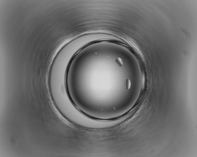 X0000112900805200908211515