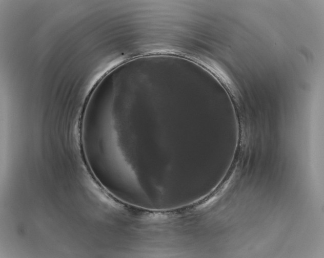 X0000112900806200908211515