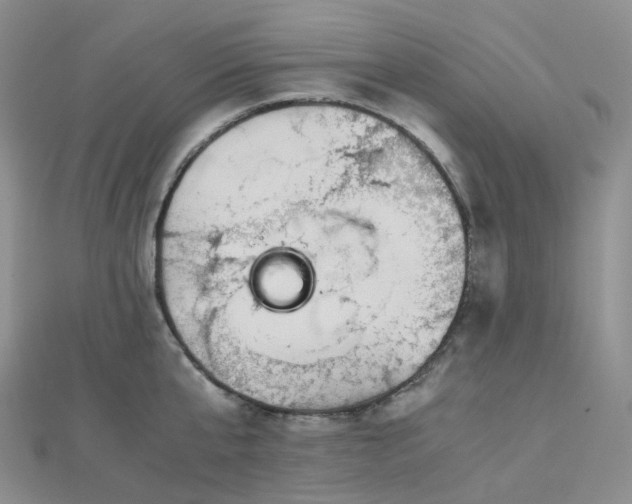 X0000112900807200908211515