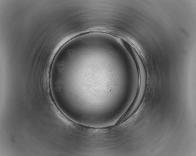 X0000112900808200908211515