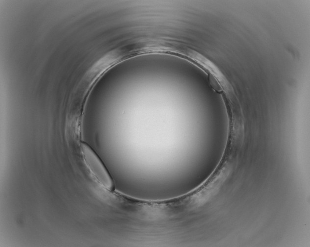 X0000112900809200908211515