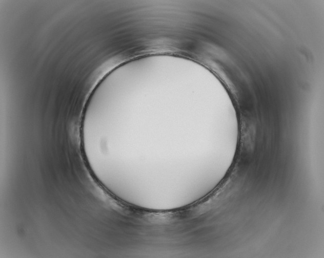 X0000112900810200908211515