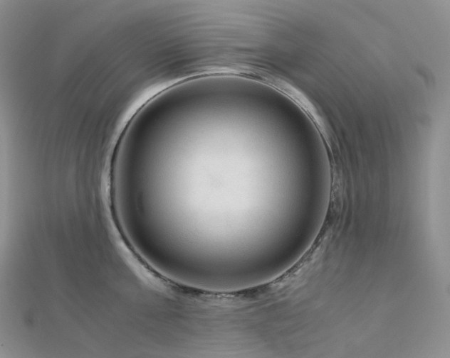 X0000112900811200908211515