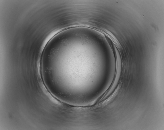 X0000112900812200908211515