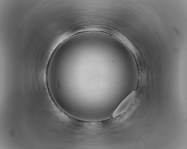 X0000112900813200908211515