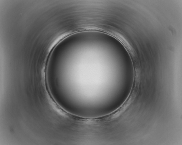 X0000112900814200908211515