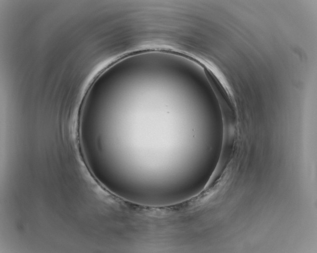 X0000112900815200908211515