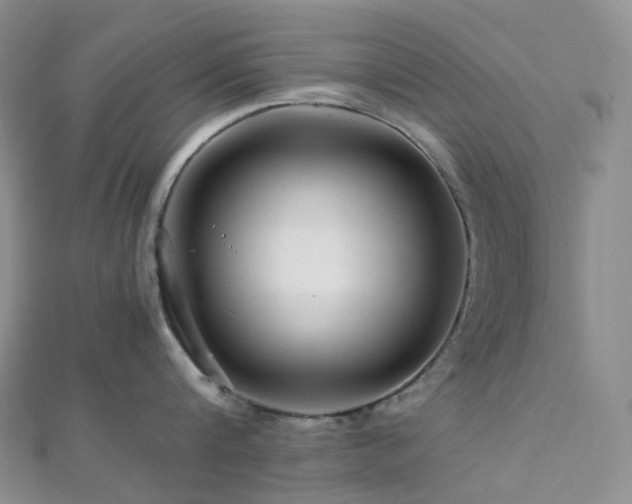 X0000112900816200908211515
