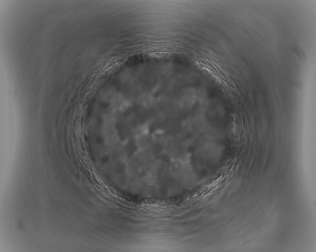 X0000112900817200908211514