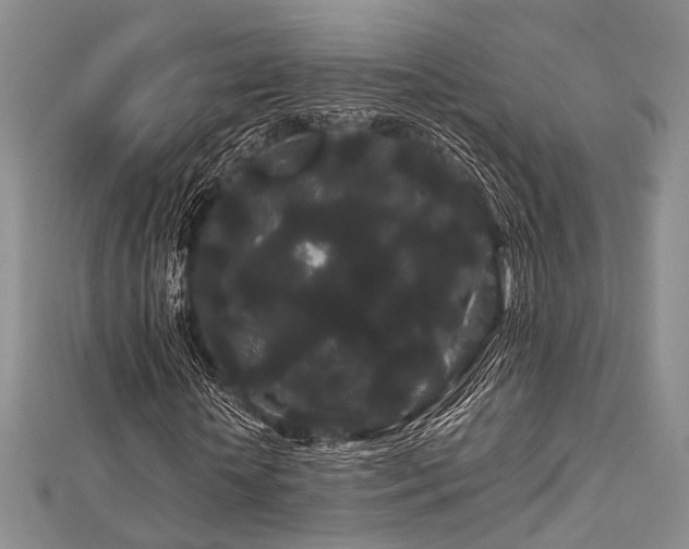 X0000112900818200908211514