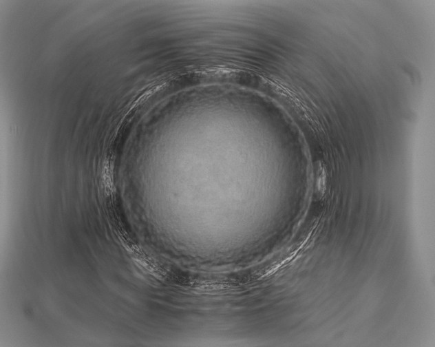 X0000112900819200908211514