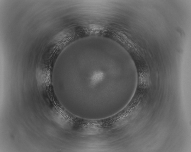 X0000112900820200908211514