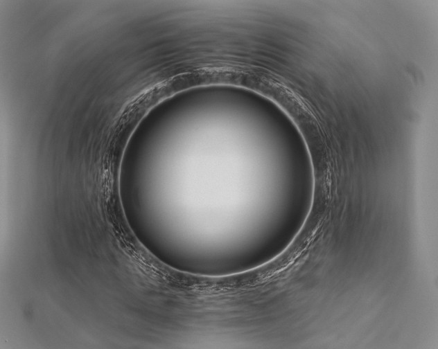 X0000112900821200908211514
