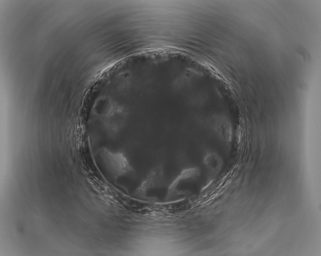 X0000112900822200908211514