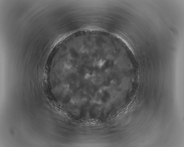 X0000112900823200908211514