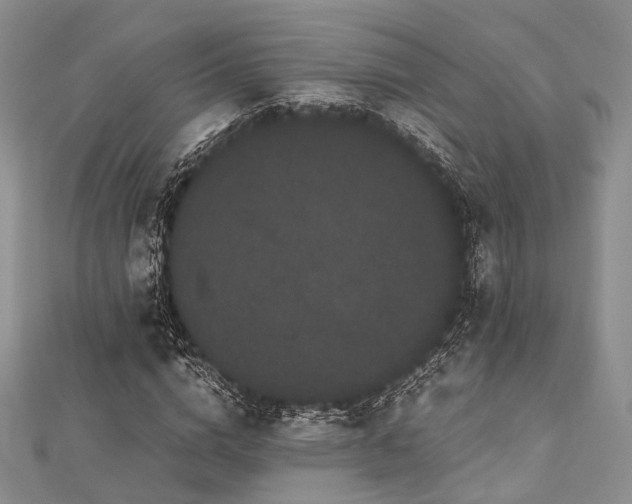 X0000112900824200908211514