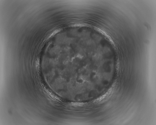 X0000112900825200908211514