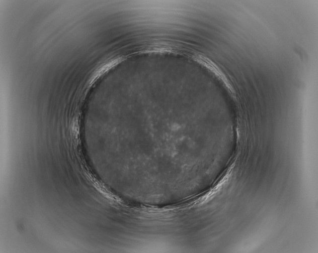 X0000112900826200908211514