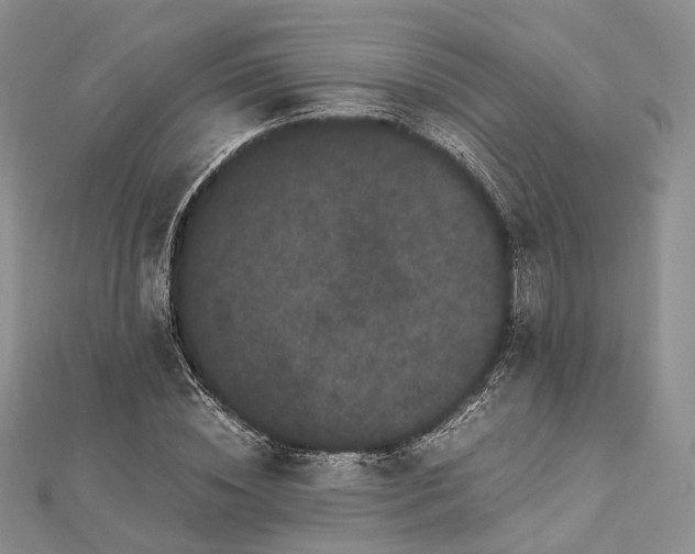 X0000112900828200908211514