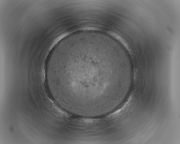 X0000112900829200908211514