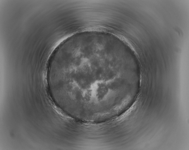 X0000112900830200908211514