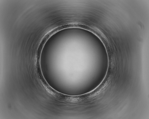 X0000112900831200908211514