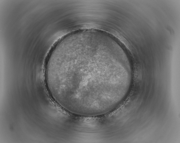 X0000112900832200908211514