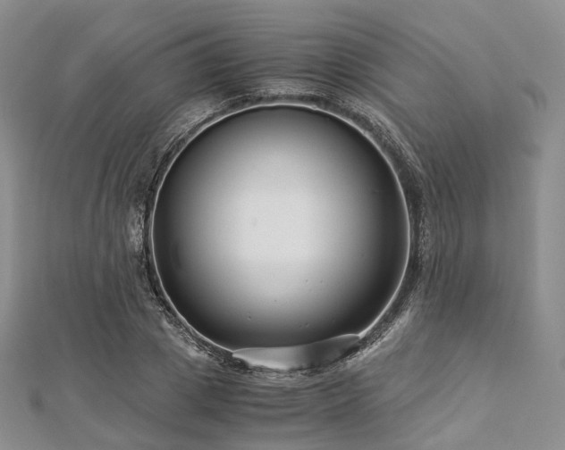 X0000112900833200908211514