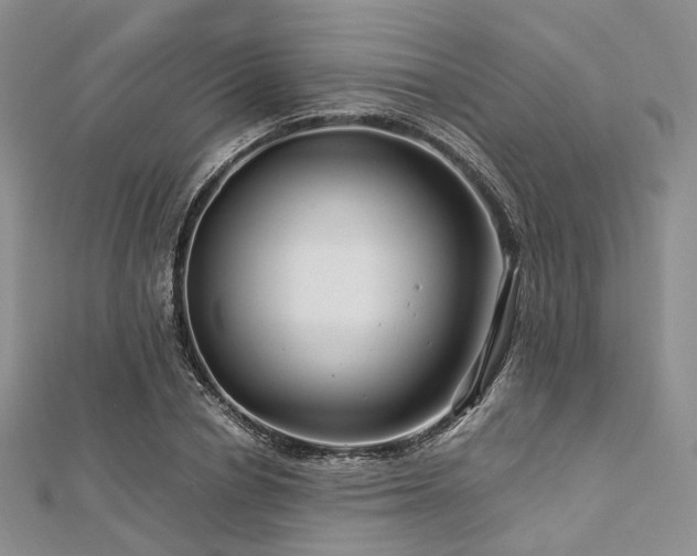 X0000112900834200908211514