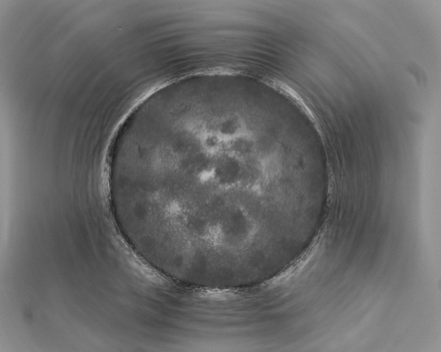 X0000112900835200908211514