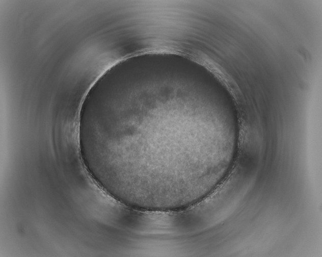 X0000112900836200908211514
