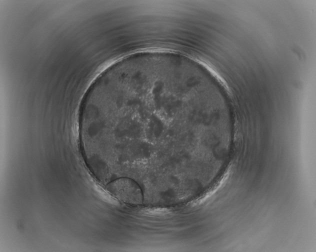 X0000112900837200908211514