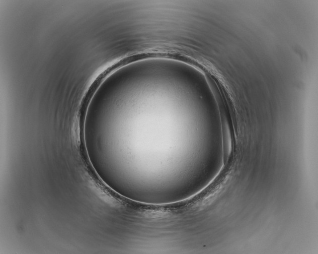 X0000112900838200908211514
